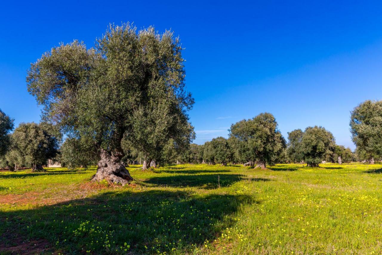Apartament Casa Bixie Old Town Of Ostuni Puglia Zewnętrze zdjęcie